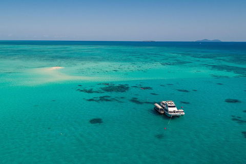 Ocean Freedom Great Barrier Reef Personal Luxury Snorkel & Dive Cruise, Cairns - Dalby Accommodation 2