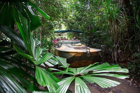 Kuranda Rainforestation & Kuranda Scenic Rail - Dalby Accommodation 0