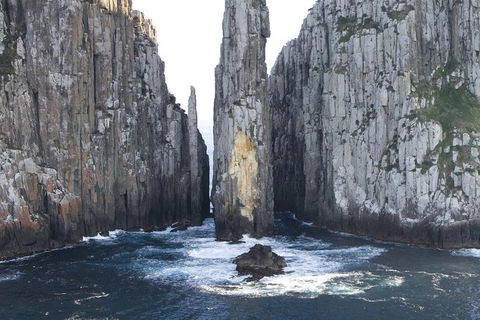 Tasman Island Cruises And Port Arthur Historic Site Day Tour From Hobart - Dalby Accommodation 2