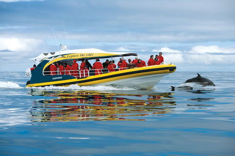 Tasman Island Cruises And Port Arthur Historic Site Day Tour From Hobart - Dalby Accommodation 3