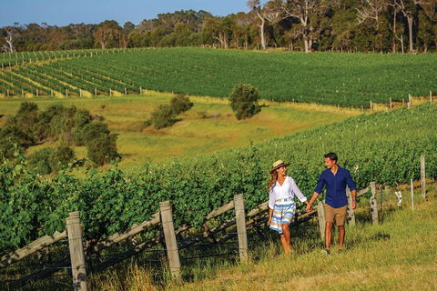 10 Day Perth To Adelaide Private Tour - The Great Australian Wilderness Journey - Dalby Accommodation 0
