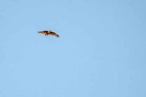 North Stradbroke Island Day Trip From Brisbane - Dalby Accommodation 4