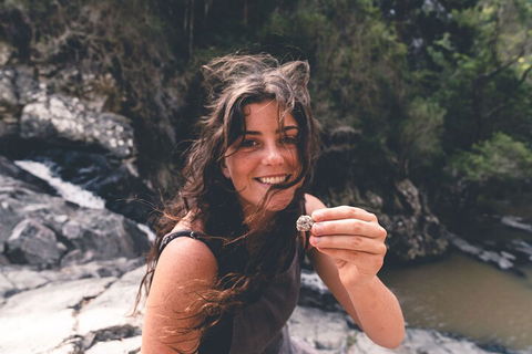 Springbrook AndTamborine Rainforest Tour Incl Natural Bridge And Glow Worm Cave - Dalby Accommodation 1