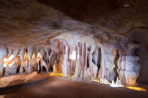 Springbrook AndTamborine Rainforest Tour Incl Natural Bridge And Glow Worm Cave - Dalby Accommodation 4