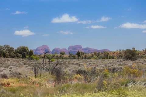 Overnight Uluru (Ayers Rock) Small-Group Camping Tour - Dalby Accommodation 0