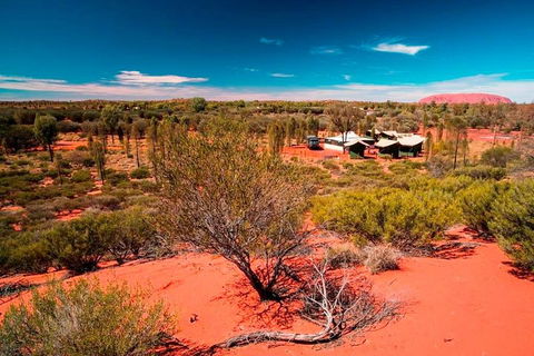 Overnight Uluru (Ayers Rock) Small-Group Camping Tour - Dalby Accommodation 2