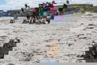 Book Viator Accommodation Vacations Dalby Accommodation Dalby Accommodation