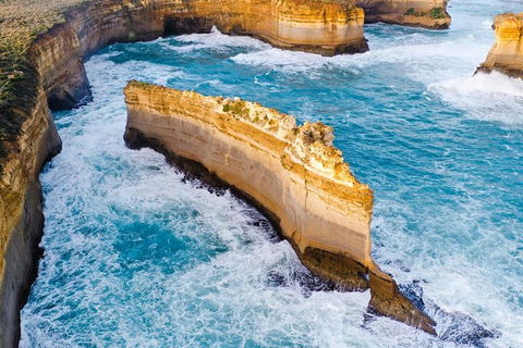 Small-Group Great Ocean Road Day Trip From Melbourne - Dalby Accommodation 2