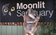Private Tour: Phillip Island, Penguin Parade And Moonlit Sanctuary Conservation Park From Melbourne - thumb 3