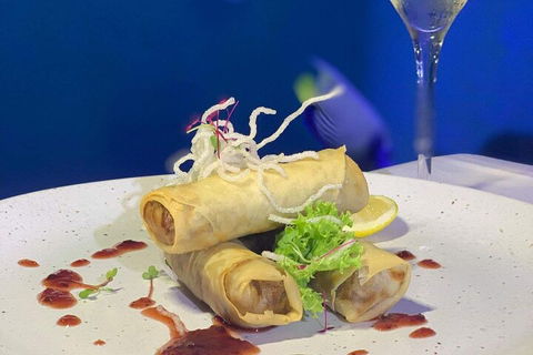 Cairns Aquarium Marine Life Encounter Ticket With 2-Course Lunch - Dalby Accommodation 1