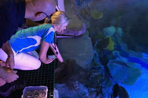 Cairns Aquarium Marine Life Encounter Ticket With 2-Course Lunch - Dalby Accommodation 2