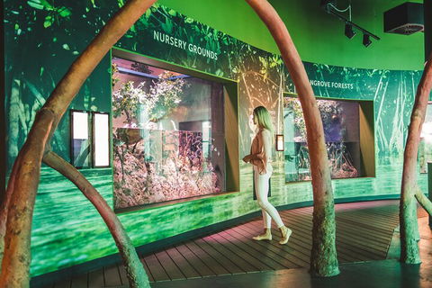 Cairns Aquarium Marine Life Encounter Ticket With 2-Course Lunch - Dalby Accommodation 3