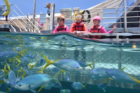 Outer Reef Pontoon Experience From Cairns - Dalby Accommodation 0