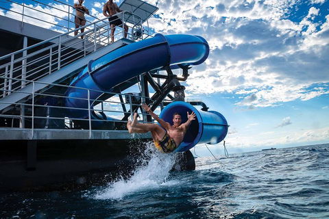 Outer Reef Pontoon Experience From Cairns - Dalby Accommodation 3