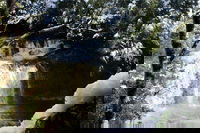 Cradle Mountain Day Tour from Launceston Including Lunch