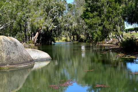 Private Daintree And Cape Tribulation Tour From Port Douglas - Dalby Accommodation 3