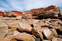 Broome City Sightseeing Tour with Optional Camel Ride