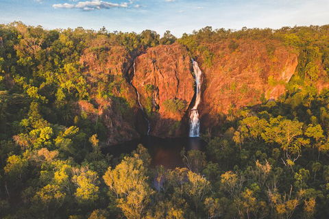 Litchfield National Park Waterfalls And Wildlife Tour From Darwin - Dalby Accommodation 2