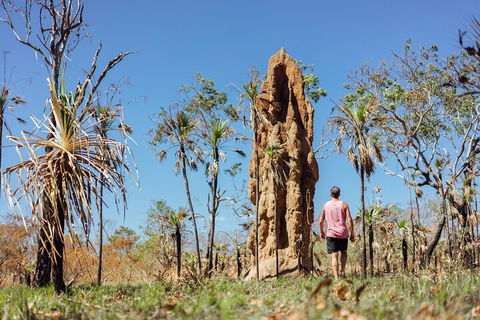 Litchfield National Park Waterfalls And Wildlife Tour From Darwin - Dalby Accommodation 4