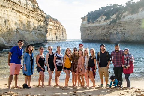 Great Ocean Road 2 Day Highlights Tour And Sunset 12 Apostles - Dalby Accommodation 4