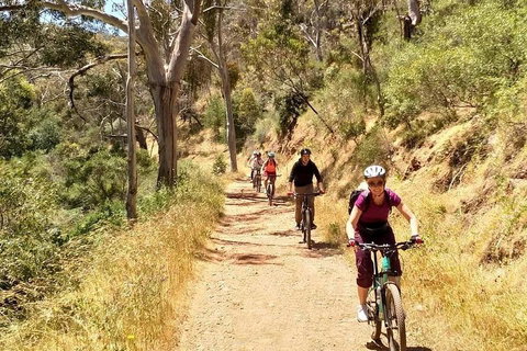 Mount Lofty Descent Bike Tour From Adelaide - Dalby Accommodation 3