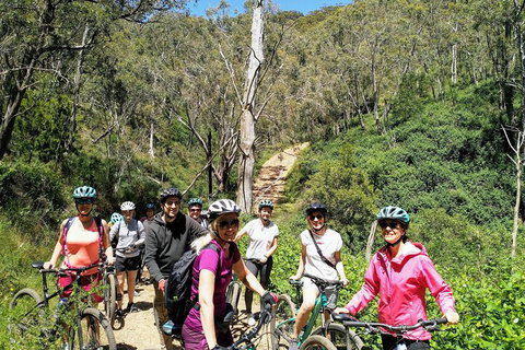 Mount Lofty Descent Bike Tour From Adelaide - Dalby Accommodation 5