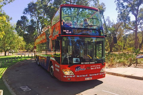 Perth Hop-On Hop-Off Bus Tour - Dalby Accommodation 4