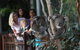 Australian Wildlife Tour At Melbourne Zoo Ticket - thumb 2