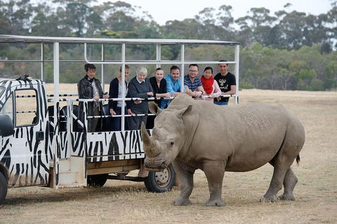 Off-Road Safari At Werribee Open Range Zoo - Dalby Accommodation 0