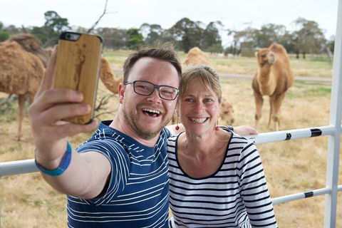 Off-Road Safari At Werribee Open Range Zoo - Dalby Accommodation 1