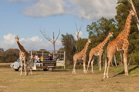 Off-Road Safari At Werribee Open Range Zoo - Dalby Accommodation 3