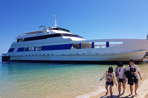 Moreton Island Day Trip (Kayak, Snorkel & Sandboard) Frm Brisbane Or Gold Coast - Dalby Accommodation 0