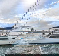 Vivid 90-Minute Sydney Harbour Catamaran Cruise with BYO Drinks - Dalby Accommodation