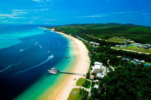 Tangalooma Island Resort Whale Watching Day Cruise - Dalby Accommodation 2