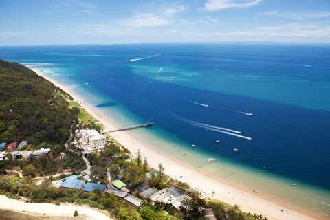 Tangalooma Island Resort Whale Watching Day Cruise - Dalby Accommodation 3