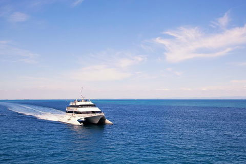 Tangalooma Island Resort Whale Watching Day Cruise - Dalby Accommodation 5
