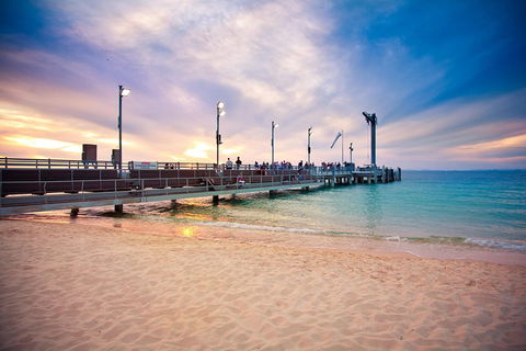 Tangalooma Island Resort Whale Watching Day Cruise With Dolphin Viewing - Dalby Accommodation 3