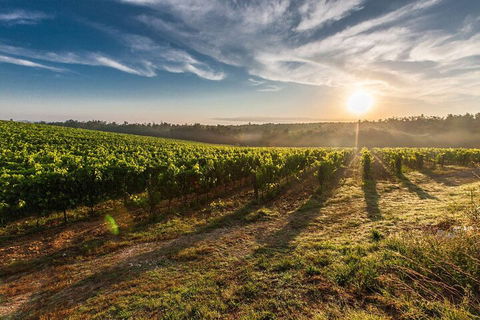 Perth To Margaret River Wine Tour - 2 Day Premium Boutique Wine Tour Experience - Dalby Accommodation 0