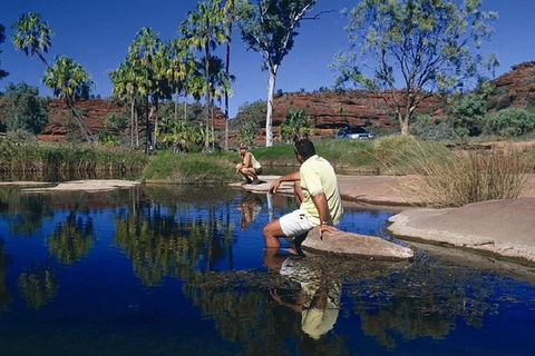 Palm Valley 4WD Day Tour - Dalby Accommodation 1