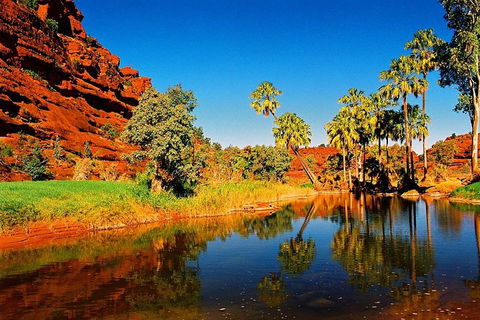 Palm Valley 4WD Day Tour - Dalby Accommodation 2
