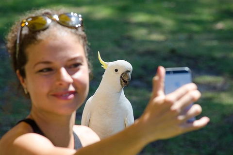 Small-Group Great Ocean Road Experience And Surf Coast Tour - Dalby Accommodation 3
