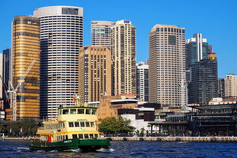 Quay People: Sydney Harbour Walking Tour With Coffee - Dalby Accommodation 4
