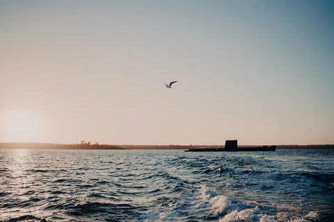 Phillip Island Twilight Cruise - Dalby Accommodation 1