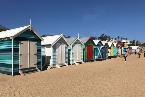 Phillip Island Penguin Parade, Brighton Bathing Boxes And Wildlife Park Tour - Dalby Accommodation 3