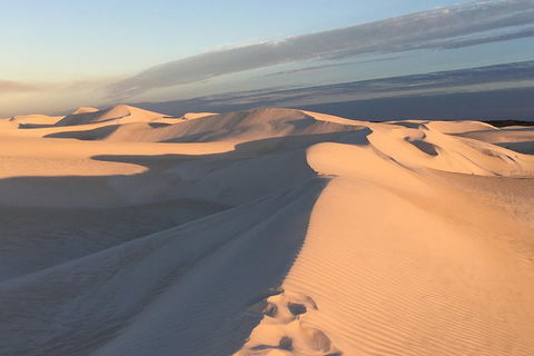 Pinnacles Desert Private Tour - Dalby Accommodation 1