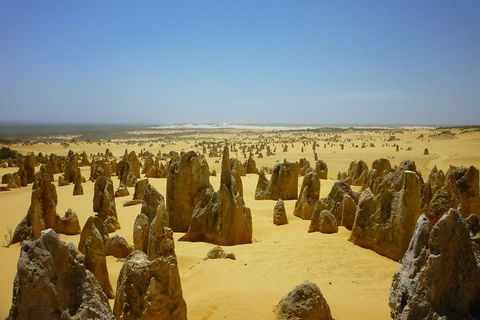 Pinnacles Desert Private Tour - Dalby Accommodation 2
