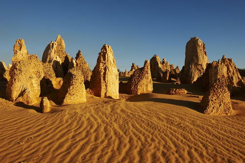 Pinnacles Desert Private Tour - Dalby Accommodation 4