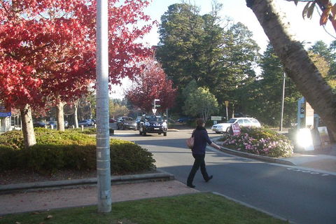 PRIVATE All-Day Blue Mountains Tour With Professional Guide For Up To 4 People - Dalby Accommodation 1