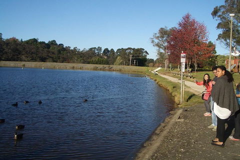 PRIVATE All-Day Blue Mountains Tour With Professional Guide For Up To 4 People - Dalby Accommodation 2