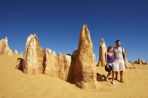 Pinnacles Day Trip From Perth Including Yanchep National Park - Dalby Accommodation 0